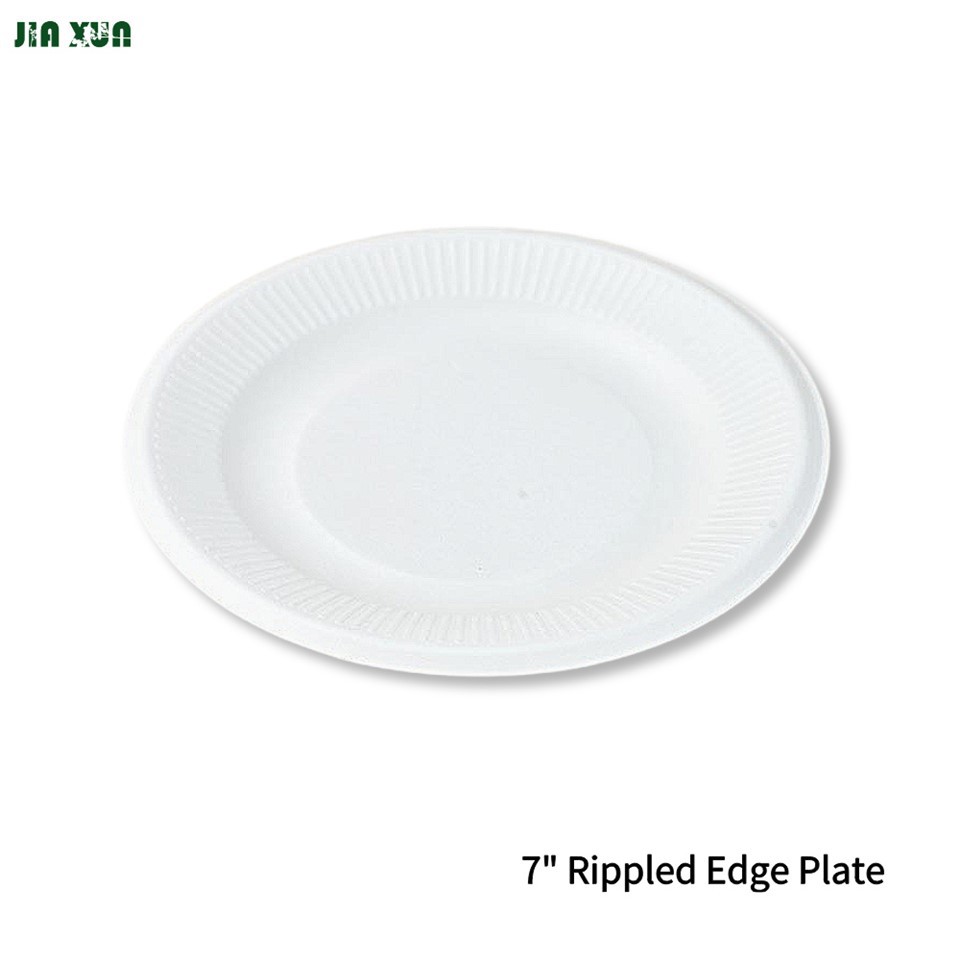 Disposable Bagasse Plates