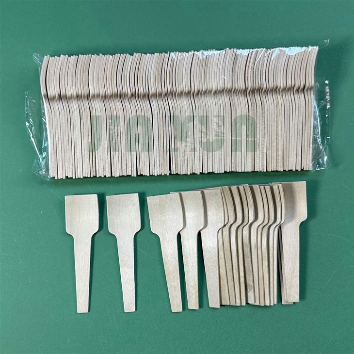 Wooden Ice Cream Spade