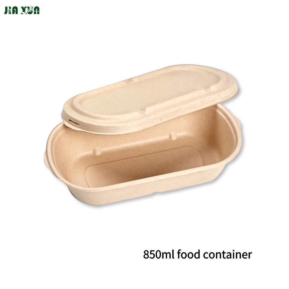 Sugarcane Box With Lid
