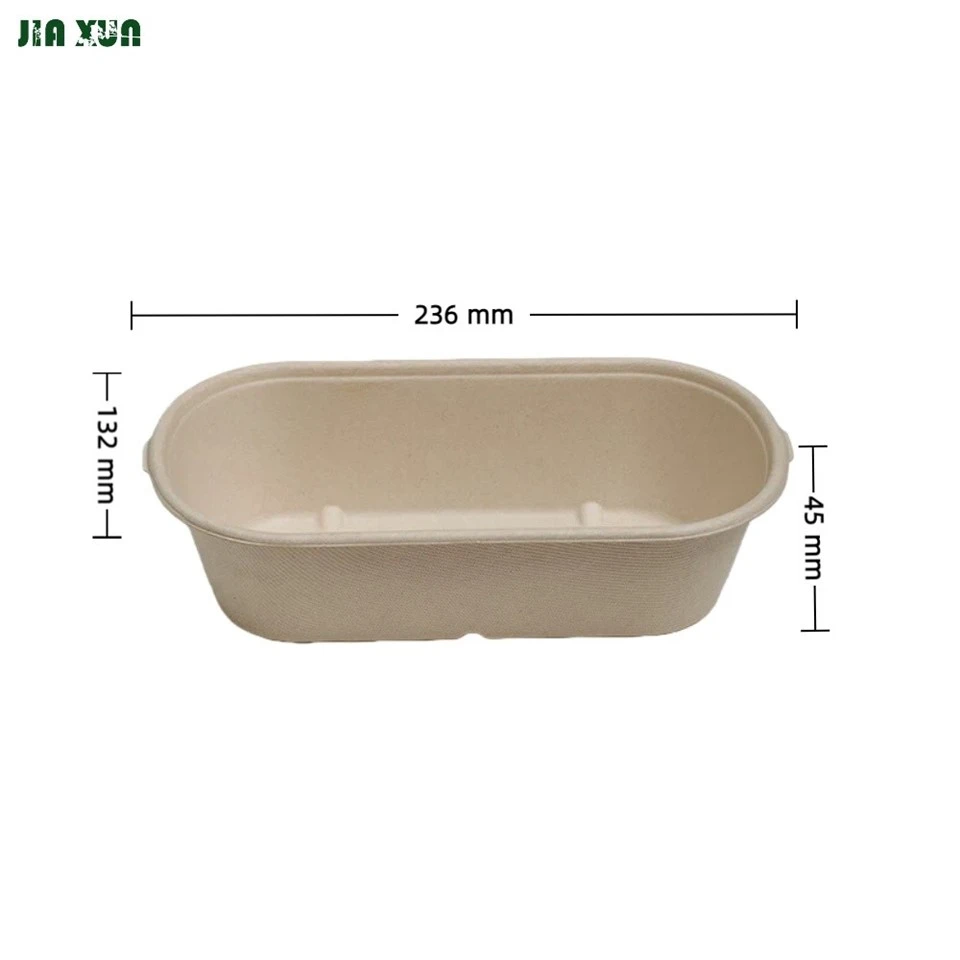850ml oval sugarcane box with lid dimensions L236mm x W132mm x H45mm